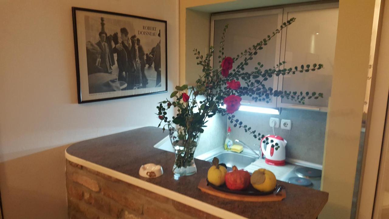 Green Point Apartments Dusanovac 外观 照片